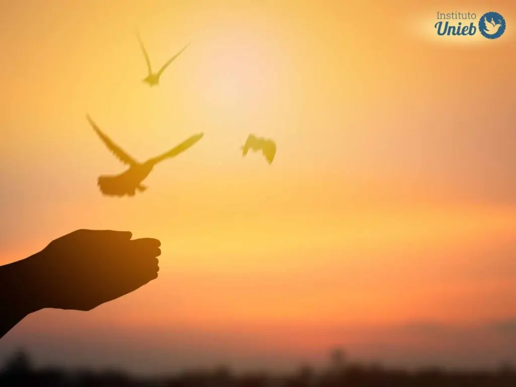mãos abertas para cima com três pombas voando no céu alaranjado de final de tarde - Instituto Unieb (Pai de santo Roberson Dariel) - Contato 11 96982-1121 - CEP 14801-040 - Av. Dom Pedro II 562, Centro, Araraquara, SP