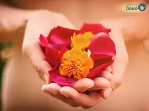 Mãos femininas segurando pétalas de rosas na cor vermelho e uma flor amarela - Instituto Unieb (Pai de santo Roberson Dariel) - Contato 11 96982-1121 - CEP 14801-040 - Av. Dom Pedro II 562, Centro, Araraquara, SP