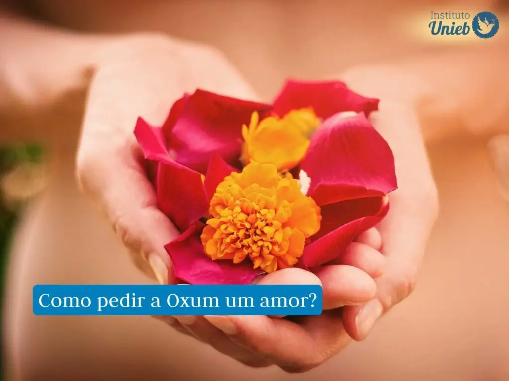Mãos femininas segurando pétalas de rosas na cor vermelho e uma flor amarela