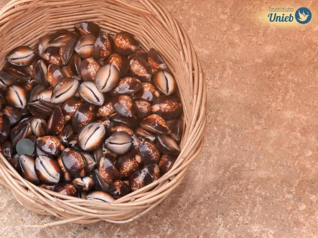 Cesto de palha no chão com grande quantidade de conchas do mar, chamadas de búzios - Instituto Unieb (Pai de santo Roberson Dariel) - Contato 11 96982-1121 - CEP 14801-040 - Av. Dom Pedro II 562, Centro, Araraquara, SP