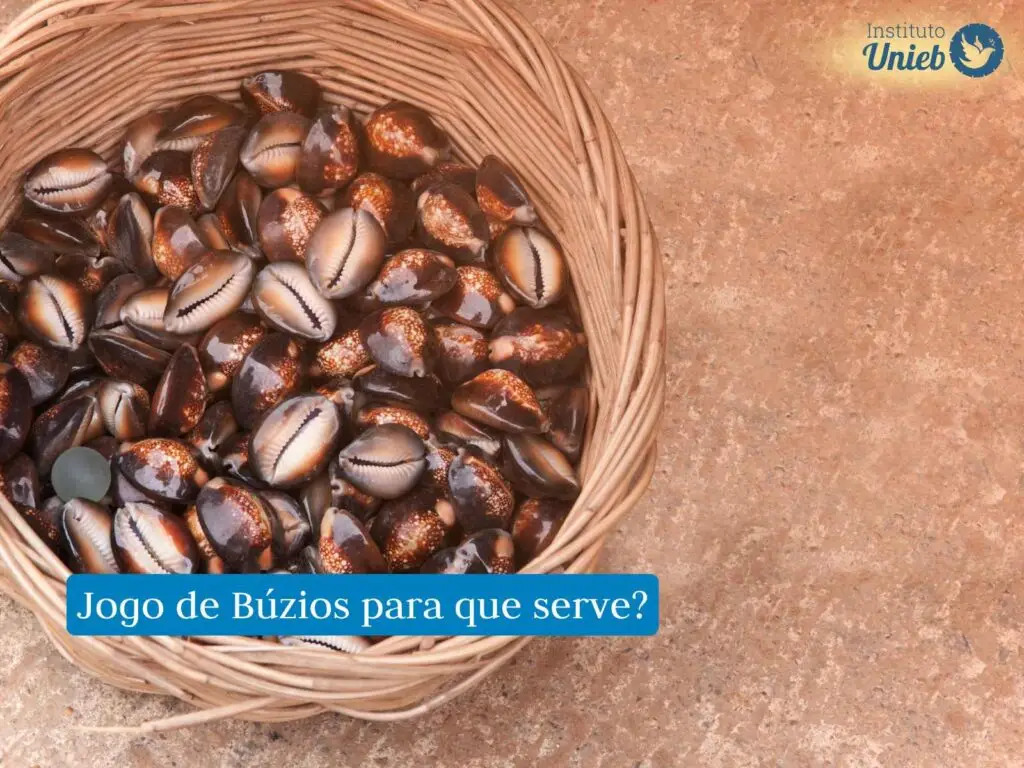 Cesto de palha no chão com grande quantidade de conchas do mar, chamadas de búzios