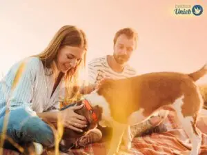 Homem e mulher ao ar livre fazendo piquenique com cachorro