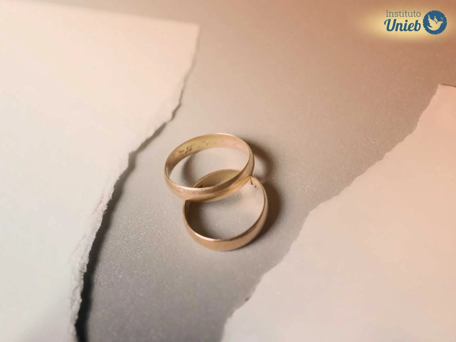 Duas alianças sob uma mesa com um papel branco cortado ao meio