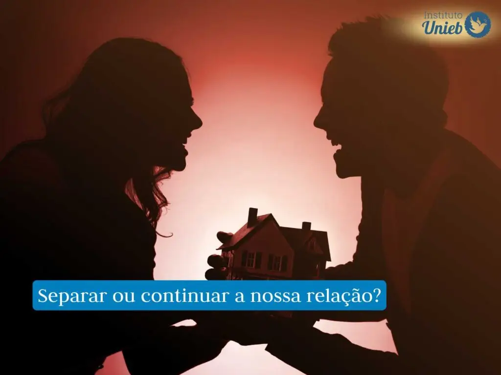 Será que a separação é o único caminho? Silhueta de homem e mulher brigando enquanto seguram uma casa com as mãos