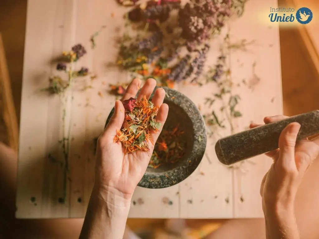 Mão ao centro segurando ervas maceradas e ao fundo ervas sobre a mesa ao lado de um macerador de pedra escuro - Instituto Unieb (Pai de santo Roberson Dariel) - Contato 11 96982-1121 - CEP 14801-040 - Av. Dom Pedro II 562, Centro, Araraquara, SP