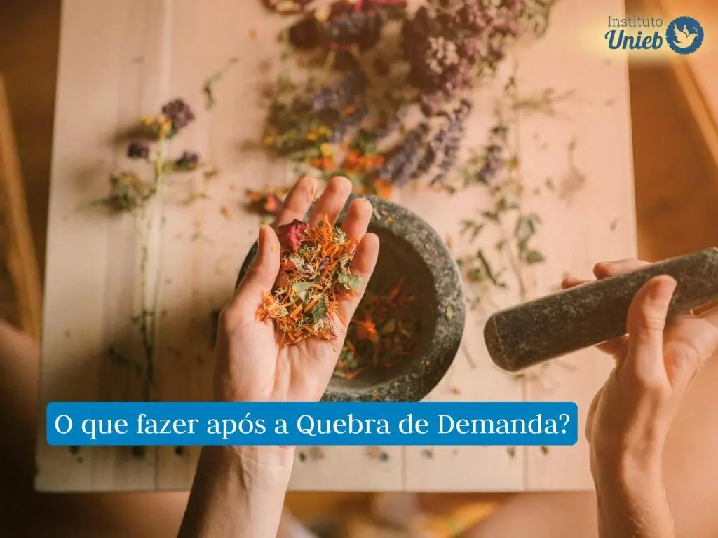 Mão ao centro segurando ervas maceradas e ao fundo ervas sobre a mesa ao lado de um macerador de pedra escuro