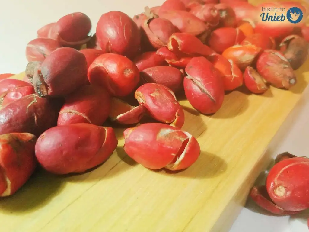 Dezenas de Obis, uma fruta africana considerada o fruto sagrado, sob uma tábua de madeira - Instituto Unieb (Pai de santo Roberson Dariel) - Contato 11 96982-1121 - CEP 14801-040 - Av. Dom Pedro II 562, Centro, Araraquara, SP