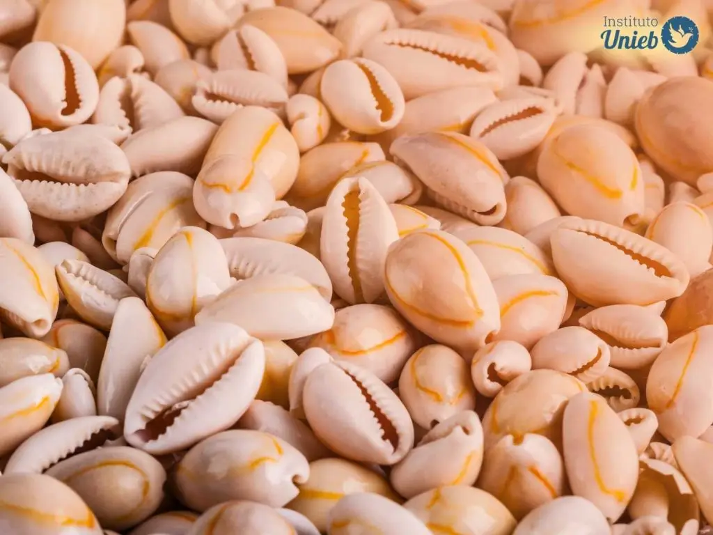 Dezenas de búzios, que são conchas, espalhados, simbolizando o Jogo de Búzios de Exu