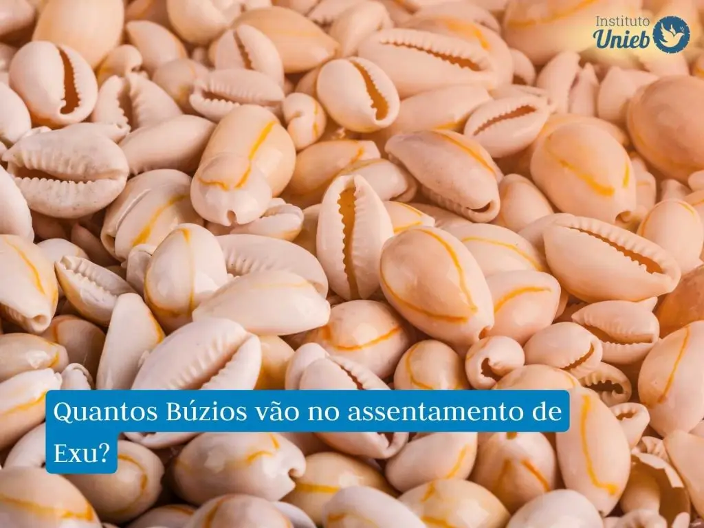 Dezenas de búzios, que são conchas, espalhados, simbolizando o Jogo de Búzios de Exu